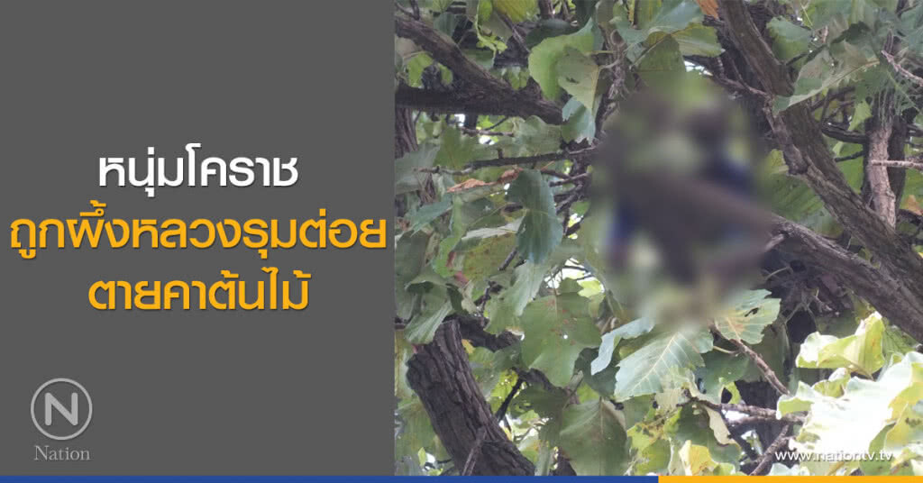 หนุ่มโคราช
ถูกผึ้งหลวงรุมต่อย
ตายคาต้นไม้ หนุ่มโคราช
ถูกผึ้งหลวงรุมต่อย
ตายคาต้นไม้