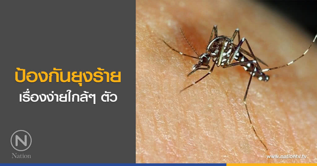 ป้องกันยุงร้าย  เรื่องง่ายใกล้ๆ ตัว