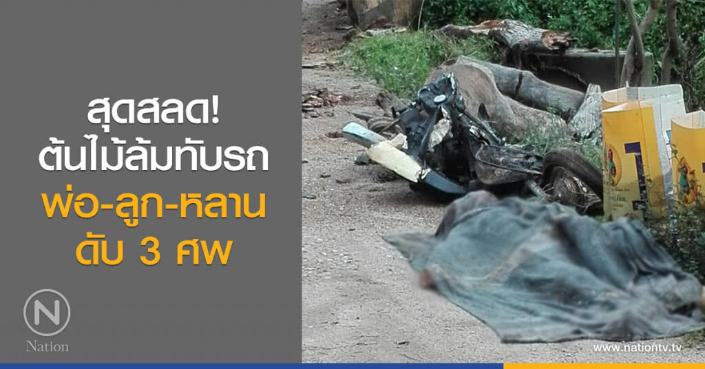สุดสลด!
ต้นไม้ล้มทับรถ
พ่อ-ลูก-หลานดับ 3 ศพ สุดสลด!
ต้นไม้ล้มทับรถ
พ่อ-ลูก-หลานดับ 3 ศพ