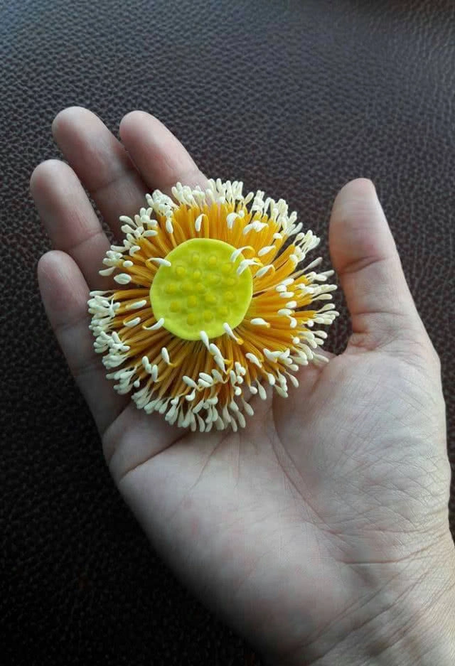 ประโยชน์ของบัว...ที่บึงบอระเพ็ด !!!