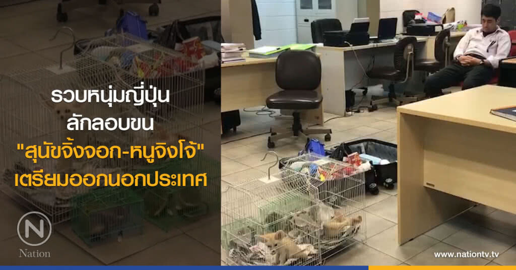 รวบหนุ่มญี่ปุ่น
ลักลอบขน
"สุนัขจิ้งจอก-หนูจิงโจ้"
เตรียมออกนอกประเทศ