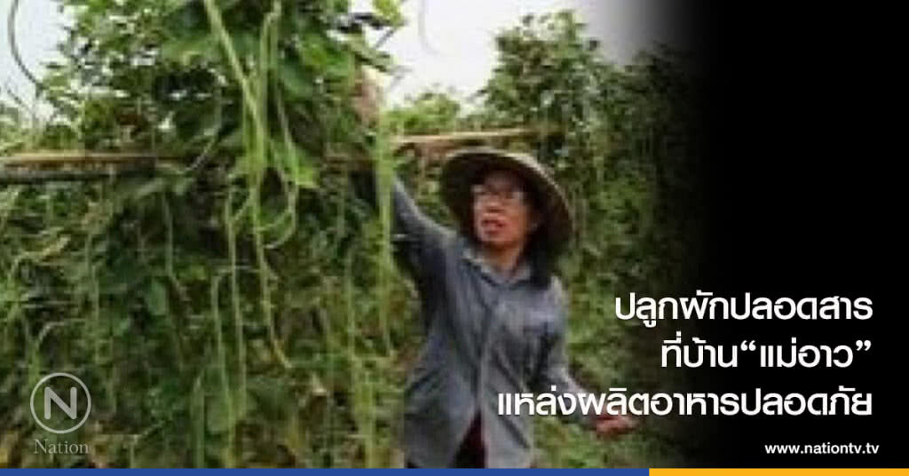 ปลูกผักปลอดสารที่บ้าน"แม่อาว" แหล่งผลิตอาหารปลอดภัย