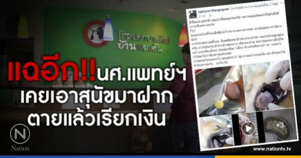 แฉอีก! วางยาสุนัขเรียกเงินประกันรพ.สัตว์ แฉอีก! วางยาสุนัขเรียกเงินประกันรพ.สัตว์