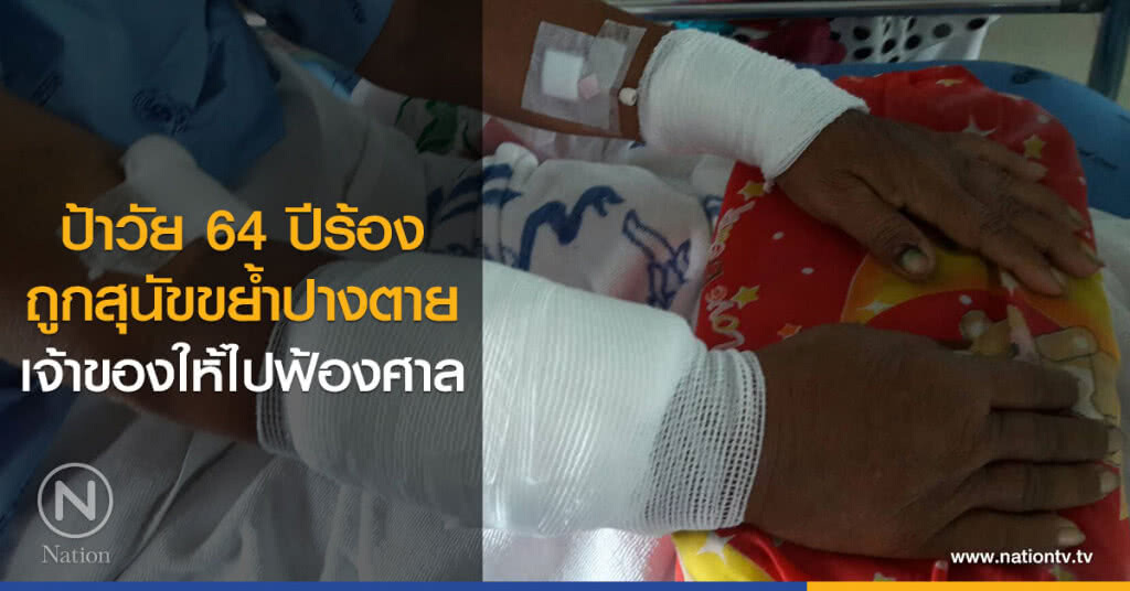ป้าวัย 64 ปีร้องถูกสุนัขขย้ำเจ็บปางตาย เจ้าของให้ไปฟ้องศาล ป้าวัย 64 ปีร้องถูกสุนัขขย้ำเจ็บปางตาย เจ้าของให้ไปฟ้องศาล