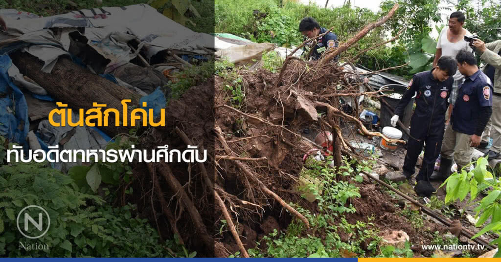 ต้นสักโค่นทับอดีตทหารผ่านศึกดับ