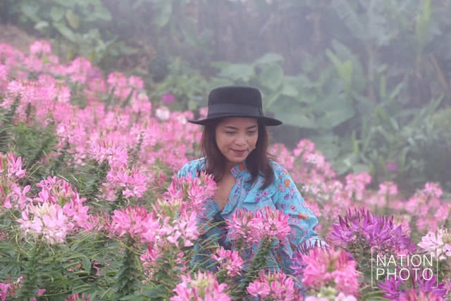 แห่เที่ยวชมหมอก บนยอดภูทับเบิก