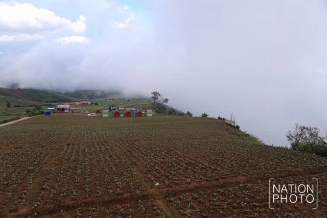 แห่เที่ยวชมหมอก บนยอดภูทับเบิก