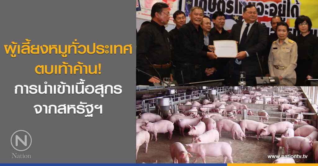 ผู้เลี้ยงหมูทั่วประเทศตบเท้าค้าน! การนำเข้าเนื้อสุกรจากสหรัฐฯ