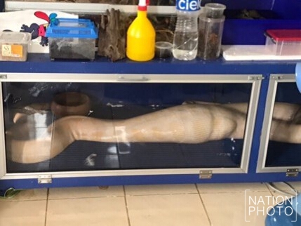 ค้นบ้านย่านเสรีไทย พบหนุ่มลักลอบขายสัตว์สงวนทางเฟซบุ๊ก