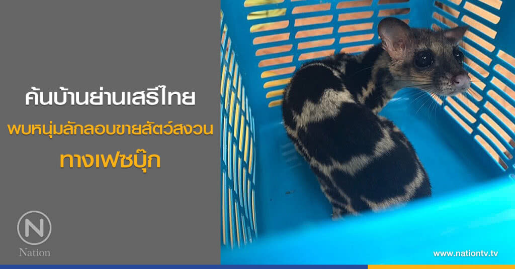 ค้นบ้านย่านเสรีไทย พบหนุ่มลักลอบขายสัตว์สงวนทางเฟซบุ๊ก ค้นบ้านย่านเสรีไทย พบหนุ่มลักลอบขายสัตว์สงวนทางเฟซบุ๊ก
