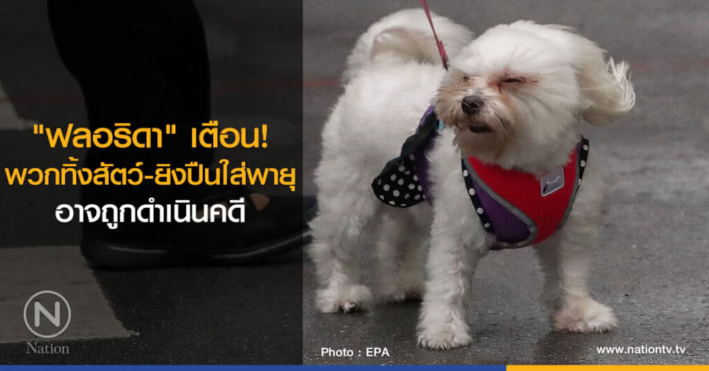 "ฟลอริดา" เตือนพวกทิ้งสัตว์และยิงปืนใส่พายุ "ฟลอริดา" เตือนพวกทิ้งสัตว์และยิงปืนใส่พายุ