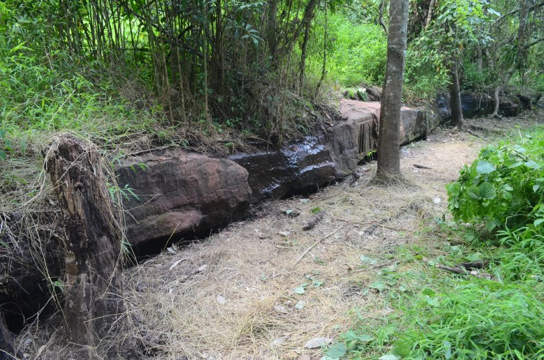 "หนานรูป"ภาพสลักบนลานหินทราย  จ.นครศรีธรรมราช