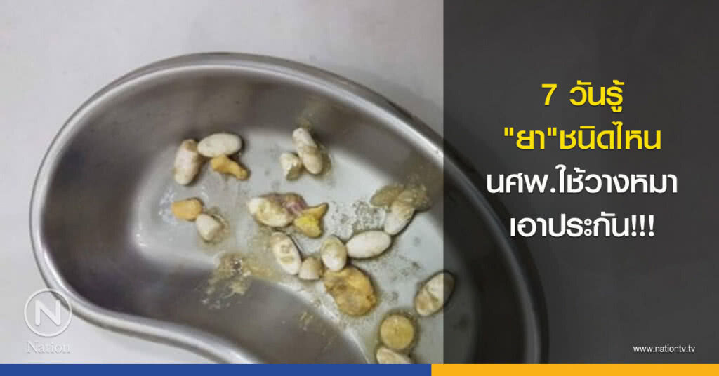 7 วันรู้ "ยา"ชนิดไหนนศพ.ใช้วางหมาเอาประกัน!!! 7 วันรู้ "ยา"ชนิดไหนนศพ.ใช้วางหมาเอาประกัน!!!