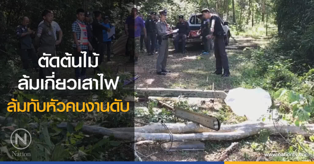 ตัดต้นไม้
ล้มเกี่ยวเสาไฟ
ล้มทับหัวคนงานดับ ตัดต้นไม้
ล้มเกี่ยวเสาไฟ
ล้มทับหัวคนงานดับ