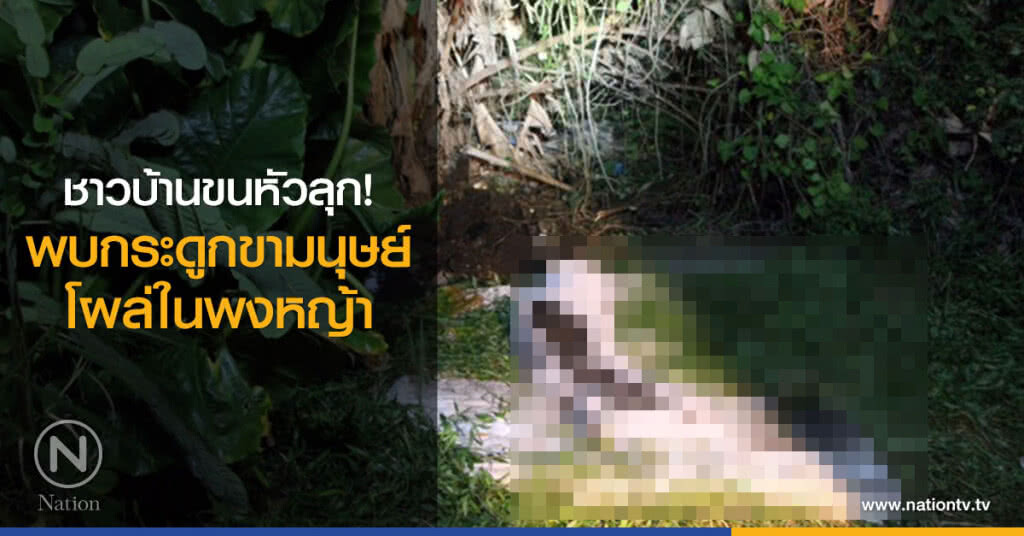 ชาวบ้านขนหัวลุก!
พบกระดูกขามนุษย์
โผล่ในพงหญ้า ย่านอุดมสุข 26