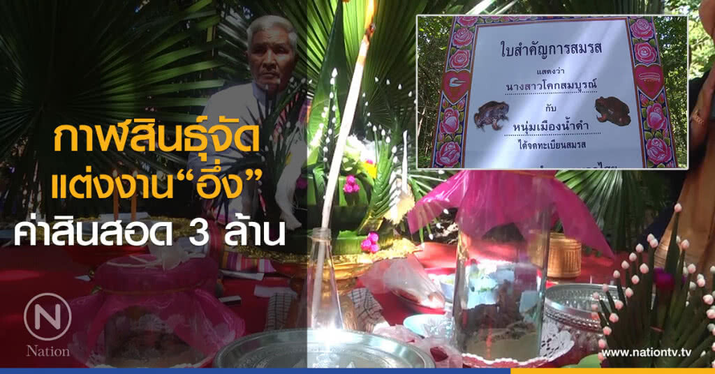 กาฬสินธุ์จัด
แต่งงาน"อึ่ง"
ค่าสินสอด 3 ล้าน
