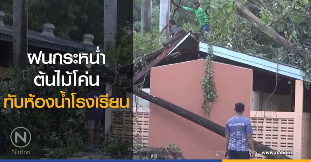 ฝนกระหน่ำ
ต้นไม้โค่น
ทับห้องน้ำโรงเรียน