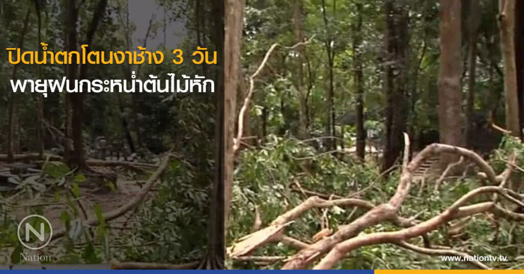ปิดน้ำตกโตนงาช้าง 3 วัน พายุฝนกระหน่ำต้นไม้หัก