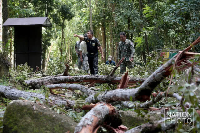 ปิดน้ำตกโตนงาช้าง 3 วัน พายุฝนกระหน่ำต้นไม้หัก