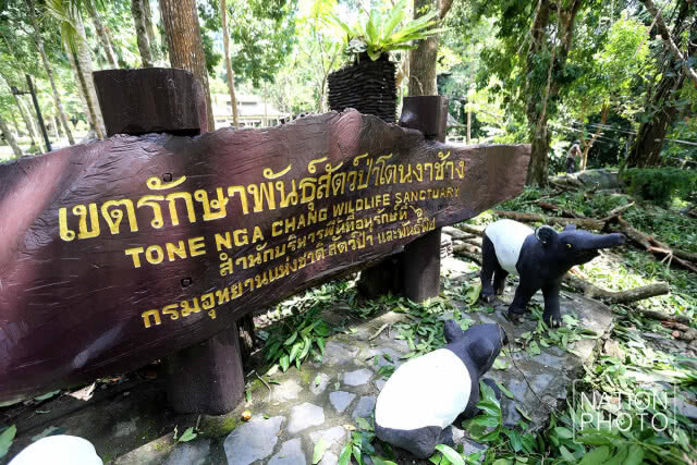 ปิดน้ำตกโตนงาช้าง 3 วัน พายุฝนกระหน่ำต้นไม้หัก