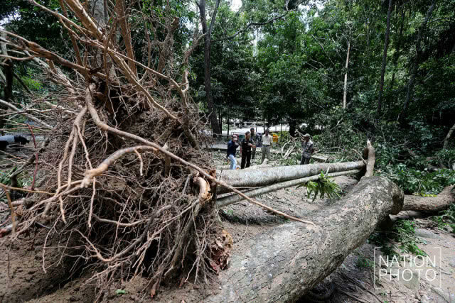 ปิดน้ำตกโตนงาช้าง 3 วัน พายุฝนกระหน่ำต้นไม้หัก