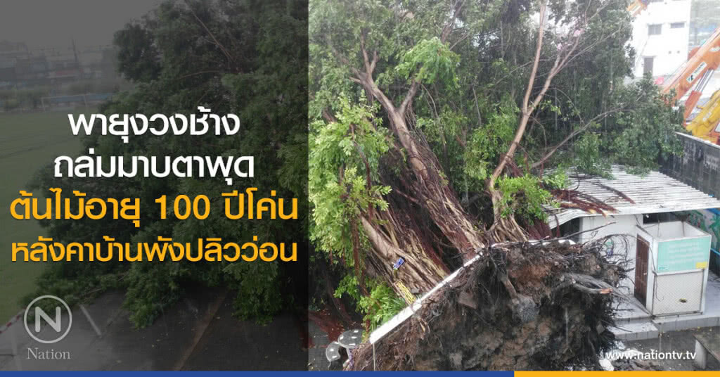 พายุงวงช้าง
ถล่มมาบตาพุด
ต้นไม้อายุ 100 ปีโค่น
หลังคาบ้านพังปลิวว่อน