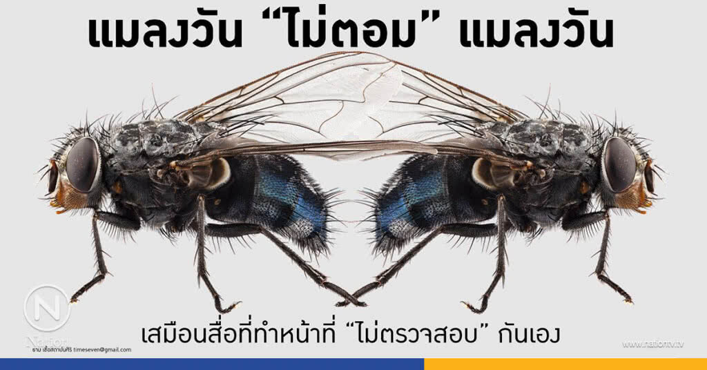"ธาม" หนุน "สมาคมสื่อฯ" ลุยสอบ "บิ๊กสื่อฯ" ขี้หลี "ธาม" หนุน "สมาคมสื่อฯ" ลุยสอบ "บิ๊กสื่อฯ" ขี้หลี