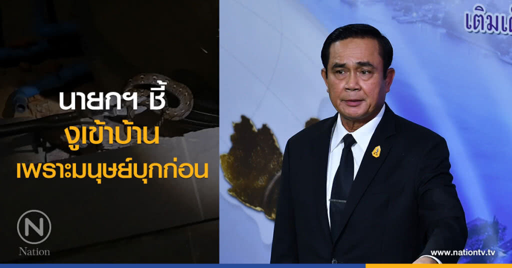 นายกฯ ชี้ งูเข้าบ้านเพราะมนุษย์บุกก่อน นายกฯ ชี้ งูเข้าบ้านเพราะมนุษย์บุกก่อน