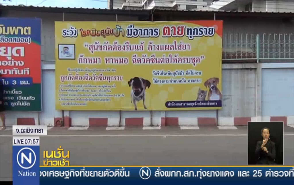 แปดริ้วครองแชมป์ เสียชีวิตจากสุนัขบ้า แปดริ้วครองแชมป์ เสียชีวิตจากสุนัขบ้า