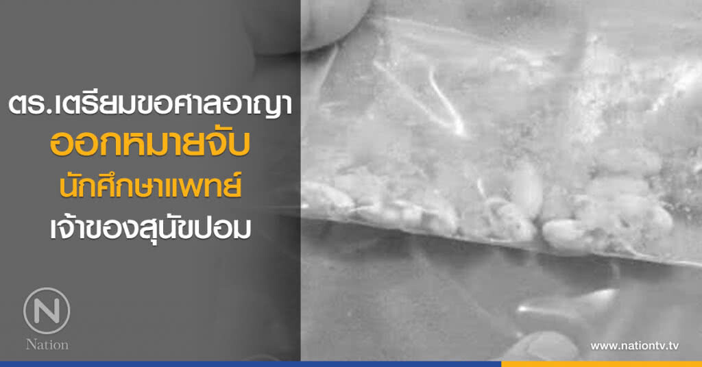 ตำรวจสุทธิสาร เตรียมขอศาลอาญาออกหมายจับนักศึกษาแพทย์ เจ้าของสุนัขปอม ตำรวจสุทธิสาร เตรียมขอศาลอาญาออกหมายจับนักศึกษาแพทย์ เจ้าของสุนัขปอม