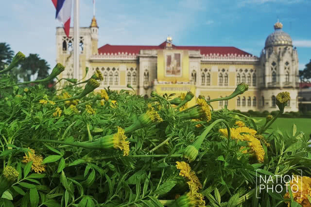 ปลูกดาวเรืองริมรั้วทำเนียบรัฐบาล เตรียมพร้อมช่วยพระราชพิธีฯ