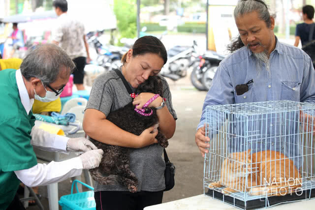 กรมปศุสัตว์ร่วมกับองค์การตลาดเพื่อเกษตรกร จัดโครงการทำหมันสุนัขและแมวฟรี