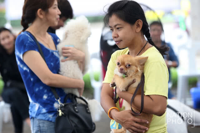 กรมปศุสัตว์ร่วมกับองค์การตลาดเพื่อเกษตรกร จัดโครงการทำหมันสุนัขและแมวฟรี