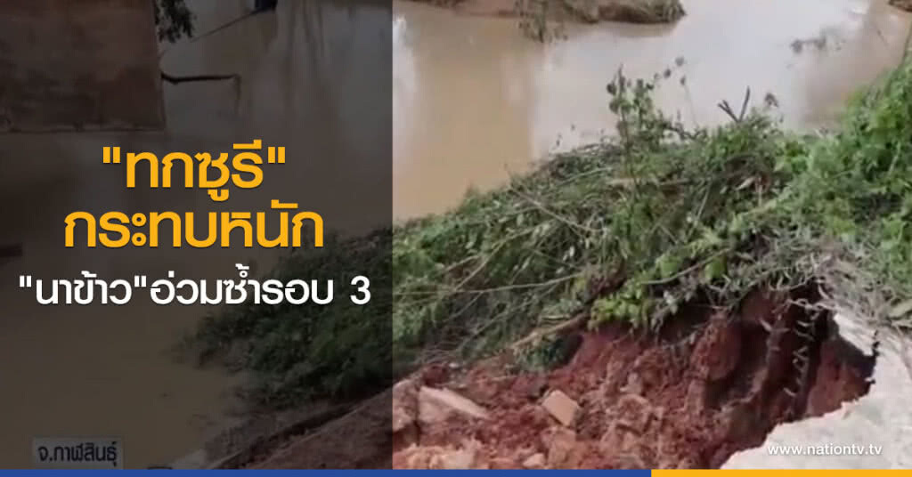 "ทกซูรี" กระทบหนักนาข้าวอ่วมซ้ำรอบ 3 "ทกซูรี" กระทบหนักนาข้าวอ่วมซ้ำรอบ 3