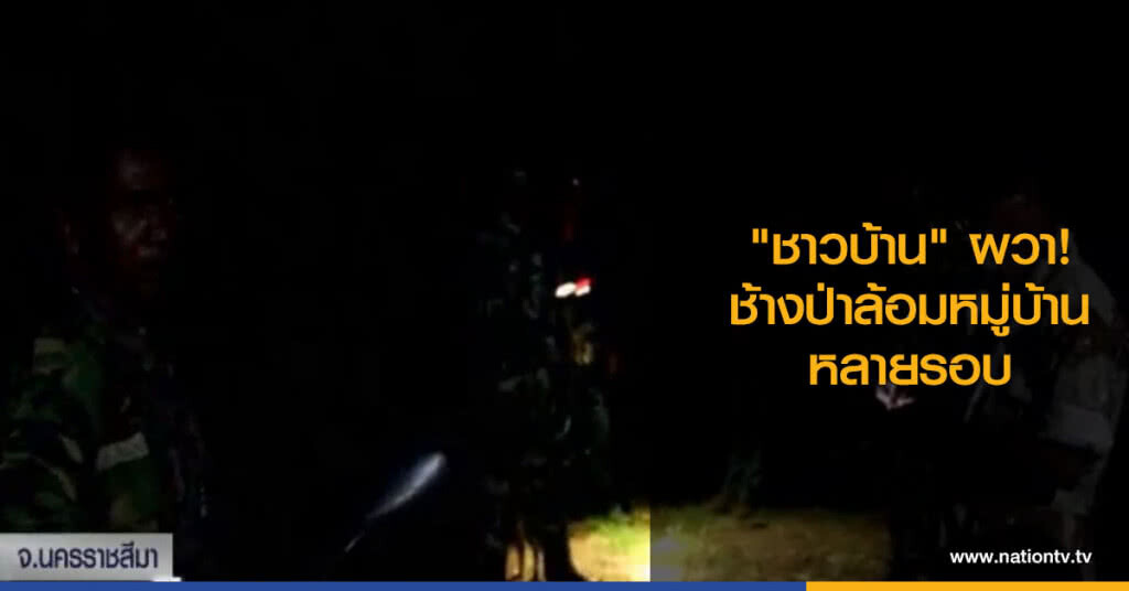 "ชาวบ้าน" ผวาช้างป่าล้อมหมู่บ้านหลายรอบ "ชาวบ้าน" ผวาช้างป่าล้อมหมู่บ้านหลายรอบ