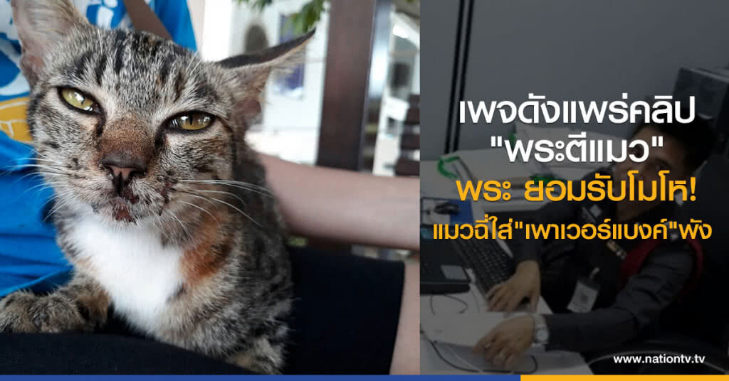 เพจดังแพร่คลิป
"พระตีแมว"
พระ ยอมรับโมโห
แมวฉี่ใส่"เพาเวอร์แบงค์"พัง เพจดังแพร่คลิป
"พระตีแมว"
พระ ยอมรับโมโห
แมวฉี่ใส่"เพาเวอร์แบงค์"พัง