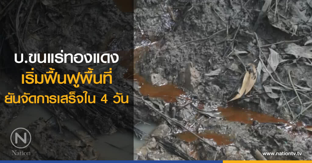 บ.ขนแร่ทองแดง
เริ่มฟื้นฟูพื้นที่
ยันจัดการเสร็จใน 4 วัน บ.ขนแร่ทองแดง
เริ่มฟื้นฟูพื้นที่
ยันจัดการเสร็จใน 4 วัน