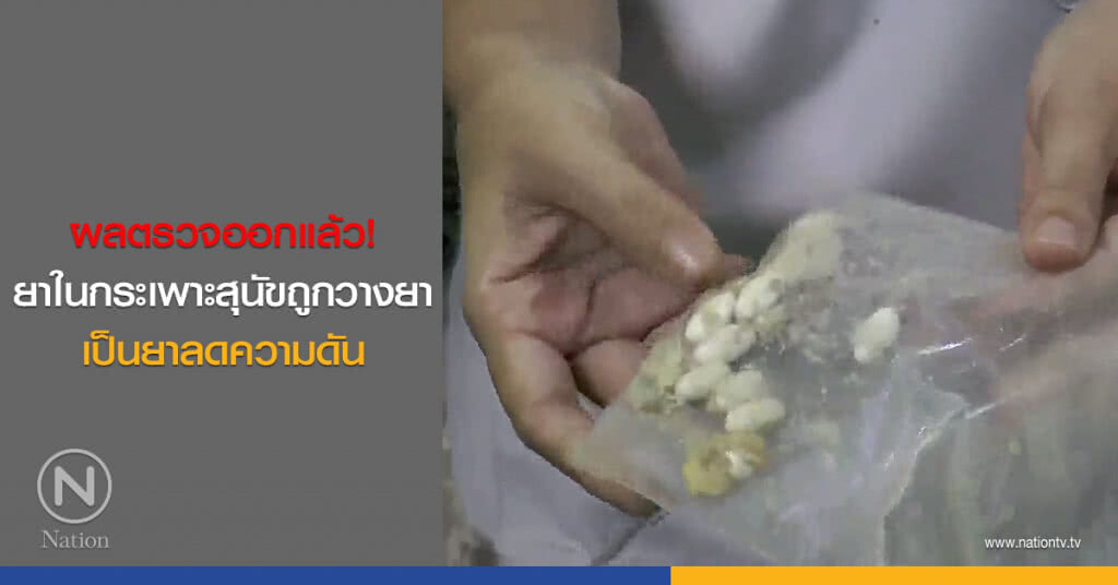 ผลตรวจออกแล้ว! ยาในกระเพาะสุนัขถูกวางยา เป็นยาลดความดัน