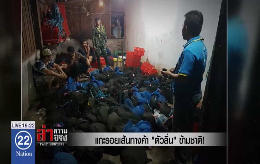 เปิดเส้นทางค้า "ตัวลิ่น" สกัดขบวนการข้ามชาติใช้ไทยทางผ่าน