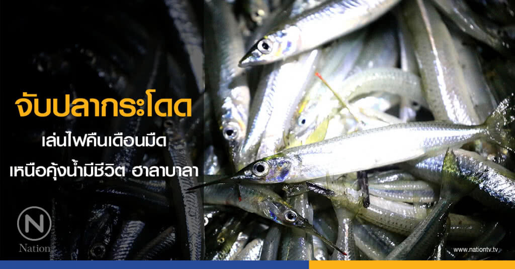 จับปลากระโดด 
เล่นไฟคืนเดือนมืด
เหนือคุ้งน้ำมีชีวิต ฮาลาบาลา