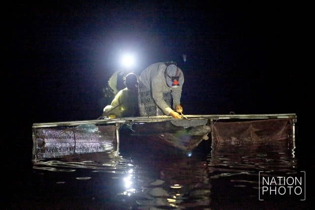 จับปลากระโดด 
เล่นไฟคืนเดือนมืด
เหนือคุ้งน้ำมีชีวิต ฮาลาบาลา