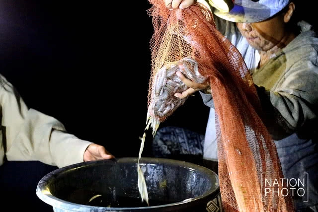 จับปลากระโดด 
เล่นไฟคืนเดือนมืด
เหนือคุ้งน้ำมีชีวิต ฮาลาบาลา