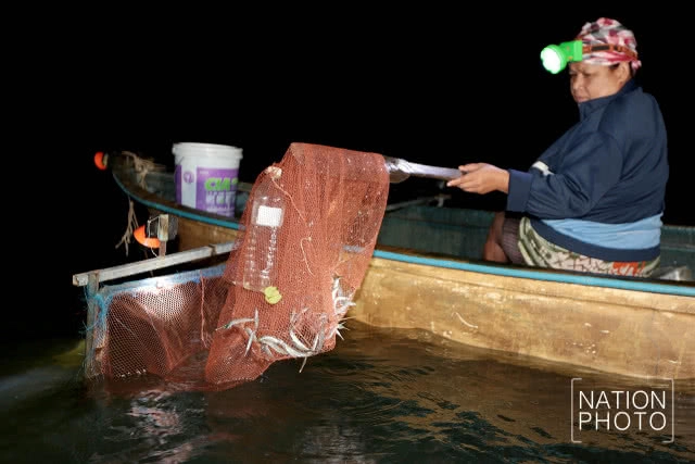 จับปลากระโดด 
เล่นไฟคืนเดือนมืด
เหนือคุ้งน้ำมีชีวิต ฮาลาบาลา