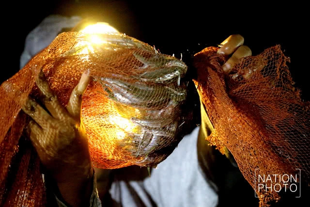 จับปลากระโดด 
เล่นไฟคืนเดือนมืด
เหนือคุ้งน้ำมีชีวิต ฮาลาบาลา