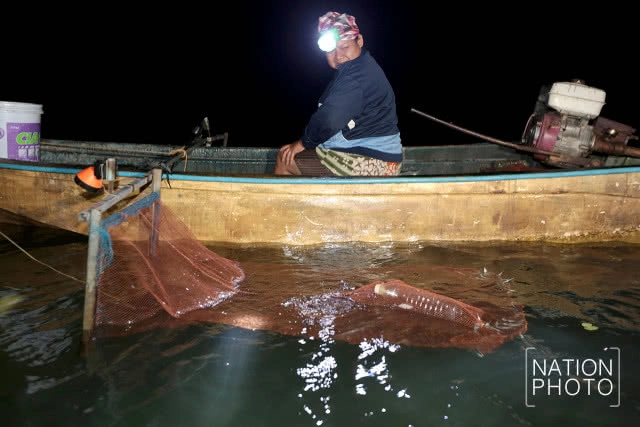 จับปลากระโดด 
เล่นไฟคืนเดือนมืด
เหนือคุ้งน้ำมีชีวิต ฮาลาบาลา