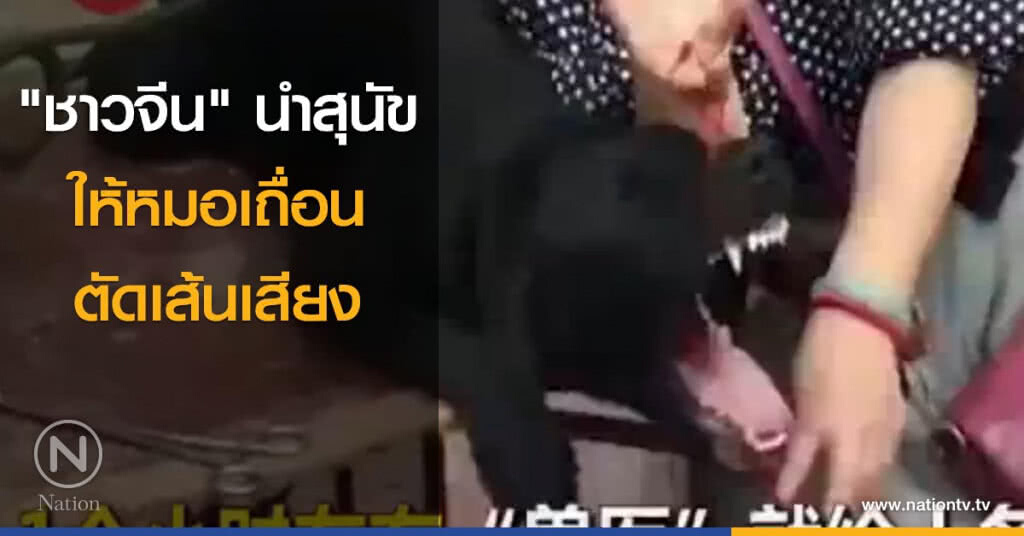 "ชาวจีน" เอาสุนัขไปให้หมอเถื่อนตัดเส้นเสียง "ชาวจีน" เอาสุนัขไปให้หมอเถื่อนตัดเส้นเสียง