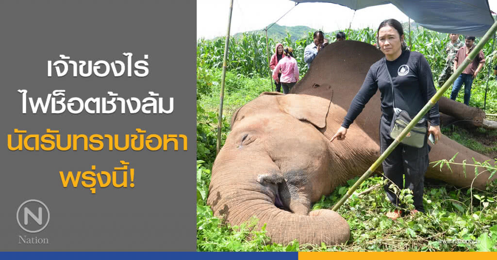 เจ้าของไร่ไฟช็อตช้างล้มนัดรับทราบข้อหา พรุ่งนี้! เจ้าของไร่ไฟช็อตช้างล้มนัดรับทราบข้อหา พรุ่งนี้!