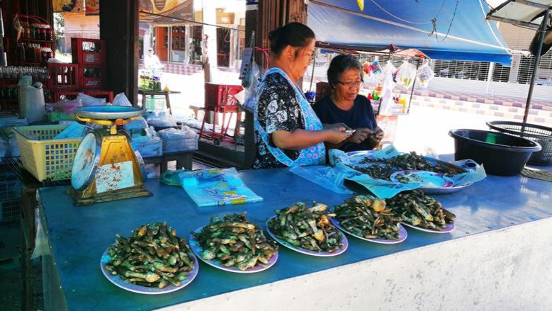 แม่ค้ารับทรัพย์! "เห็ดโคน"ราคาพุ่ง