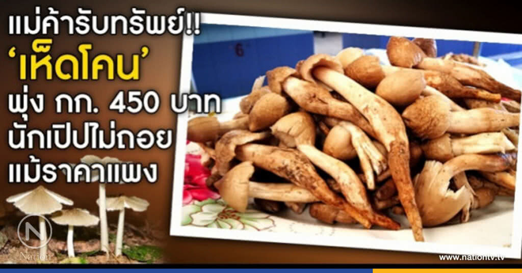 แม่ค้ารับทรัพย์! "เห็ดโคน"ราคาพุ่ง แม่ค้ารับทรัพย์! "เห็ดโคน"ราคาพุ่ง