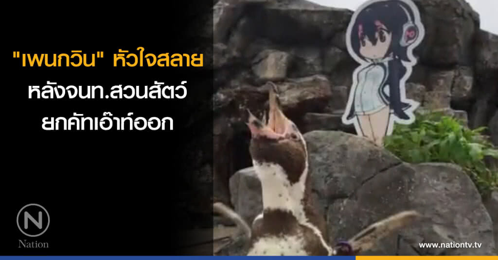 "เพนกวิน" หัวใจสลาย